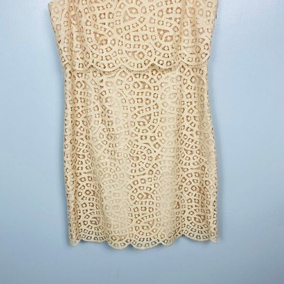 J. Crew Womens Size 4 Blush Pink Sleeveless Tiered Shift Dress in Teardrop Lace - Picture 5 of 10